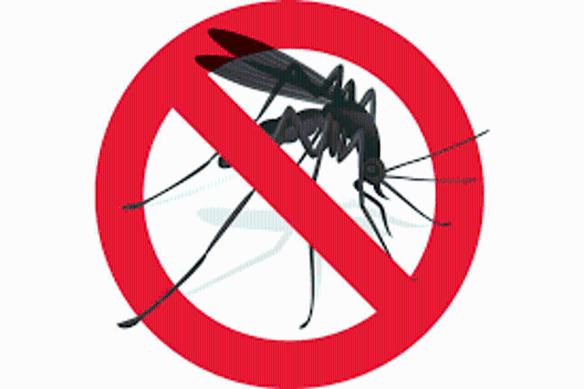 Disinfestazione contro le zanzare